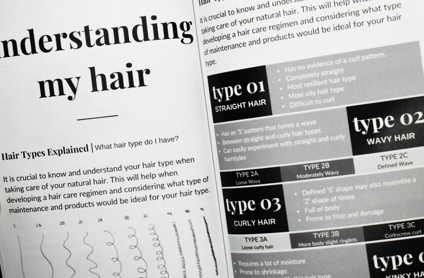 LOVING MY CURLS AND COILS BOOK